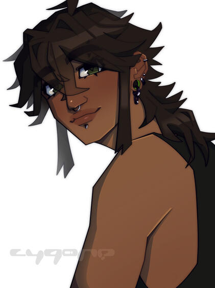 COMMISSION EXAMPLE